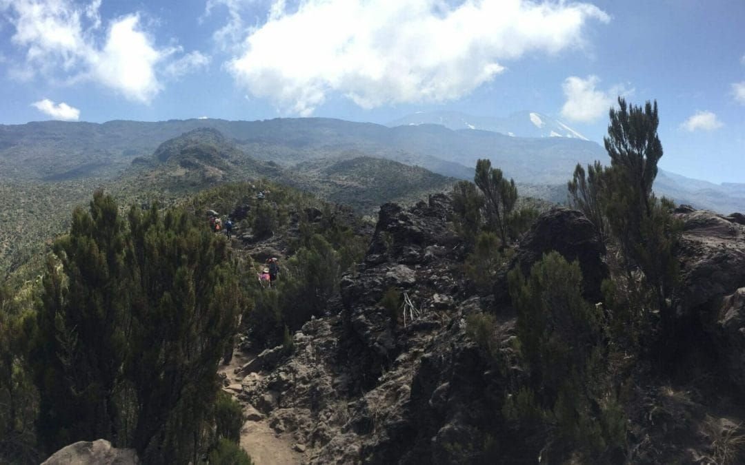 Climbing Kilimanjaro – Day 2 Machame Camp to Shira II Camp