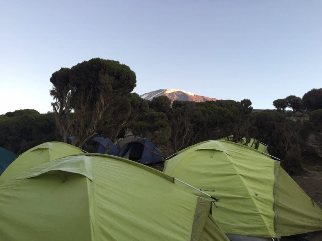 Kilimanjaro Millenium Camp