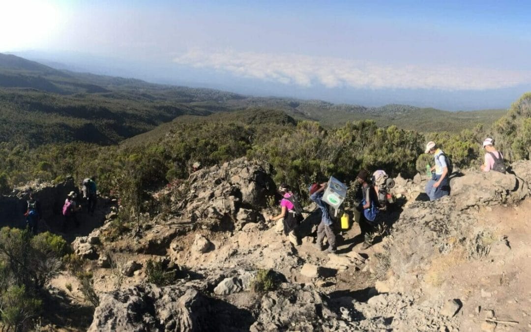 Climbing Kilimanjaro – Day 6 Millennium Camp to Mweka Gate