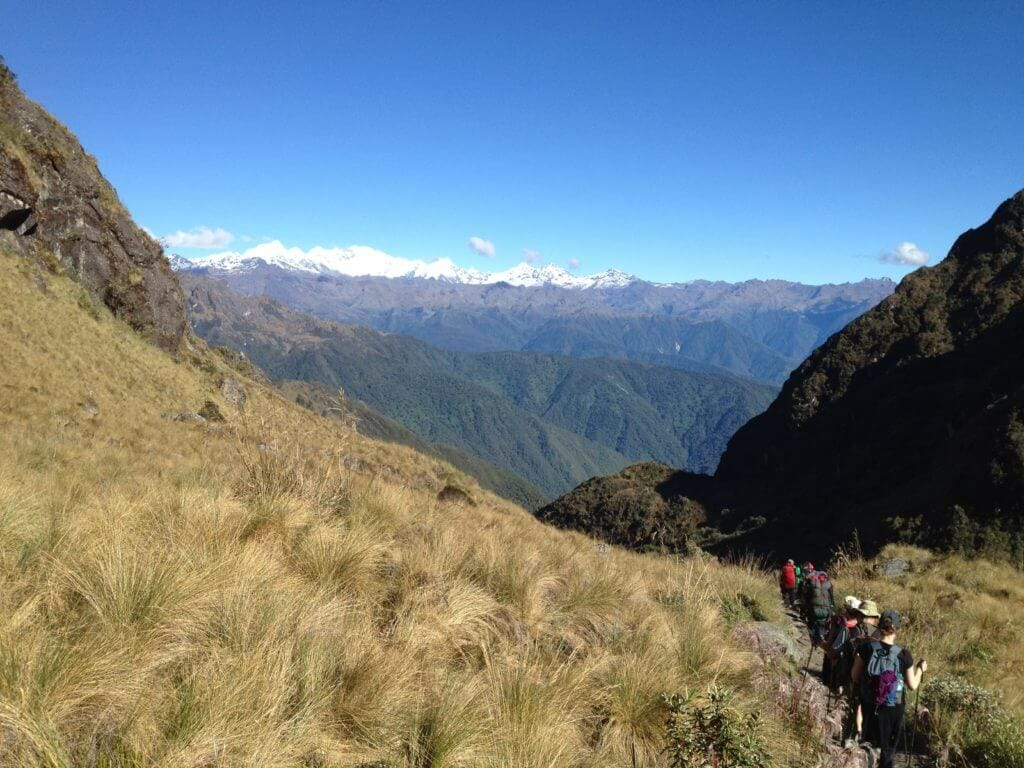 Cloud Forest, Inca Trail, 