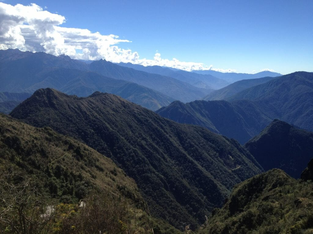 Machu Picchu Mountain, Phuyupatamarka, cloud forest