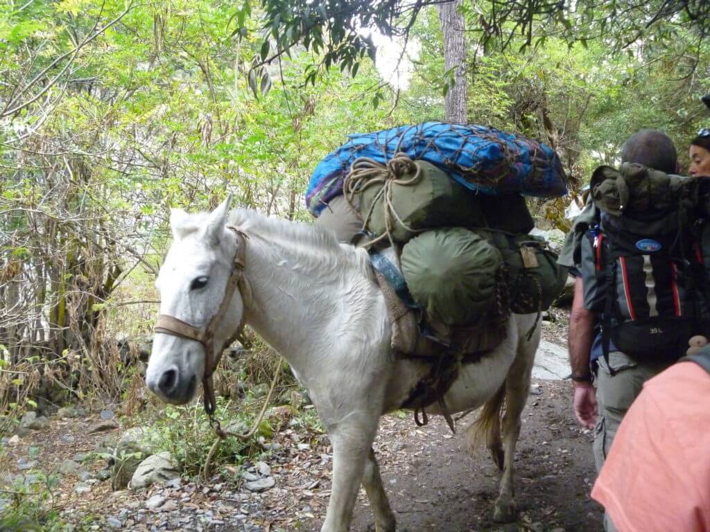 Inca Trail, KM82