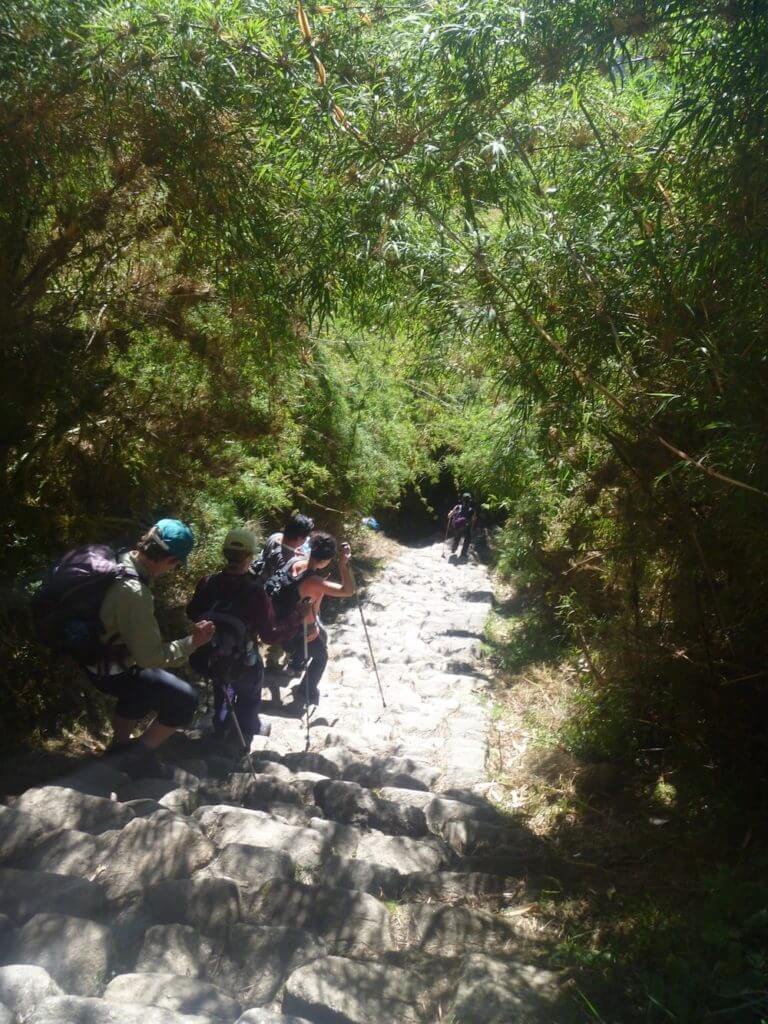 Inca Trail Stairs, Gringo Killers, walking poles