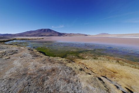 Laguna Colorada, Bolivia, Altiplano