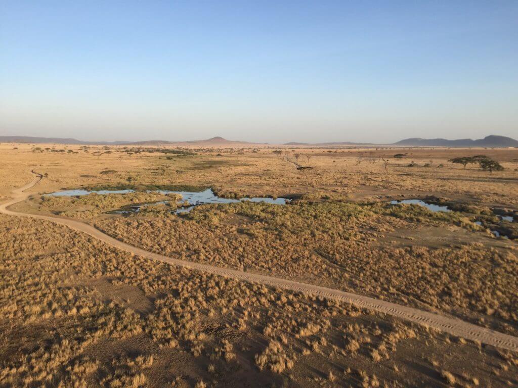 Serengeti hot air ballon