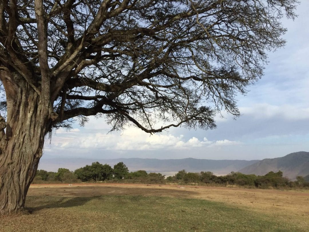 Ngorongoro Crater Camp view