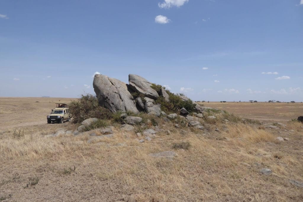 Serengeti Kopjes, Serengeti Plains