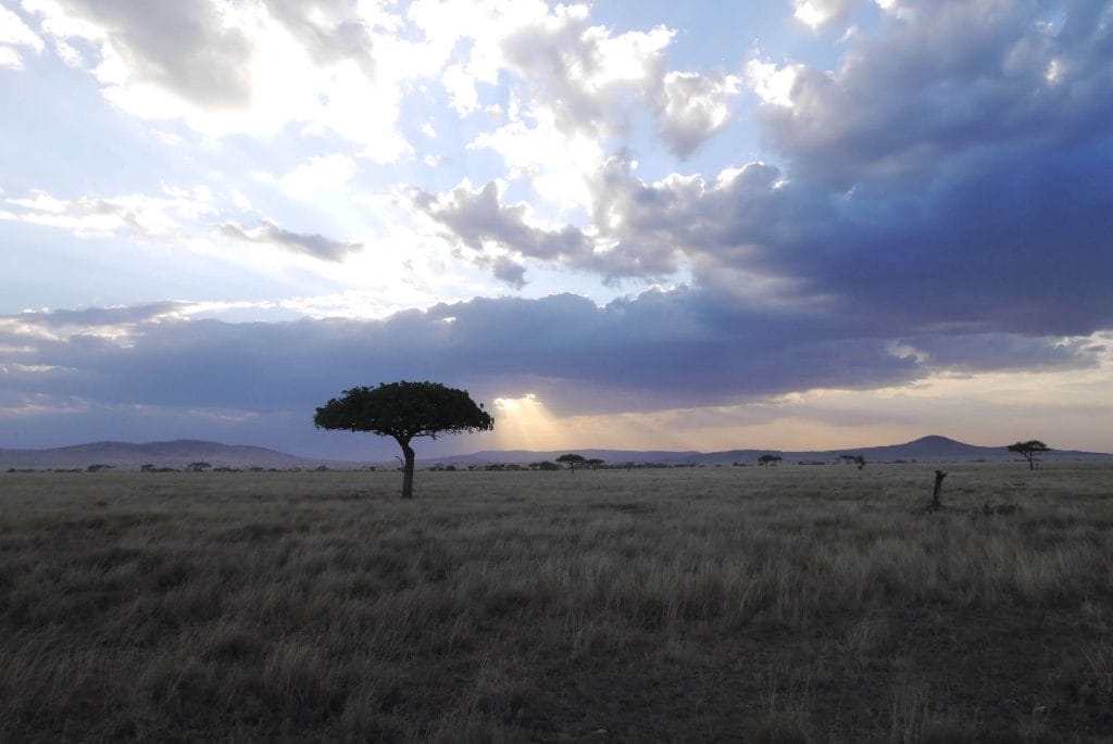 Serengeti sunset, serengeti safari