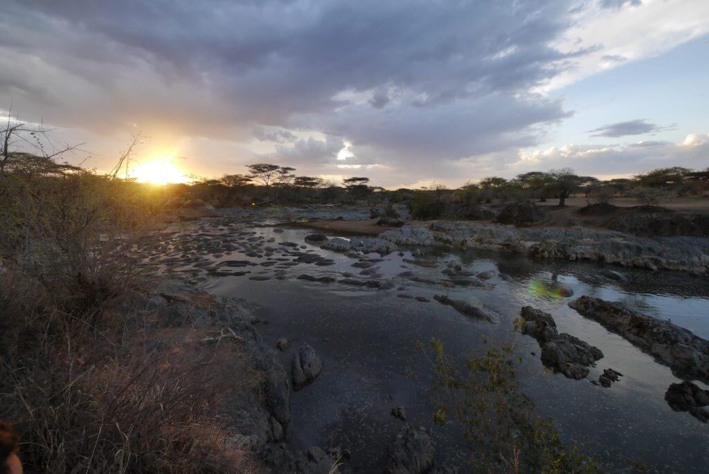 Serengeti hippo pool sunset