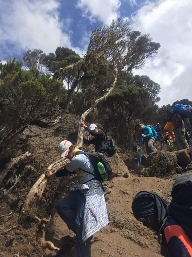 Karanga Valley, Kilimanjaro day 3 scramble