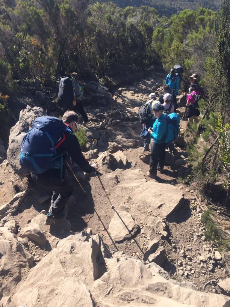 Mweka Trail, descending Kilimanjaro