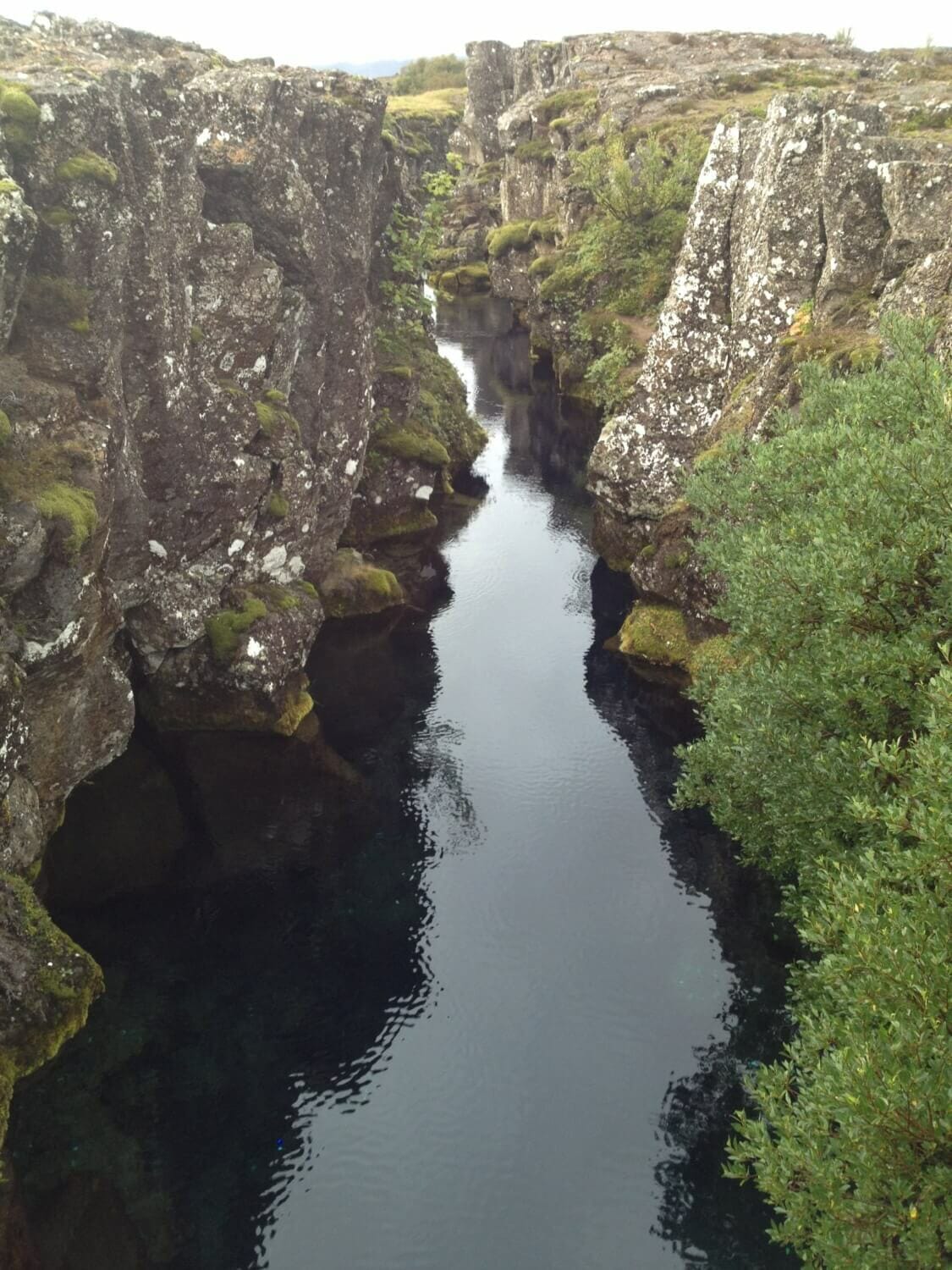 Silfra Rift, Thingvellir National Park