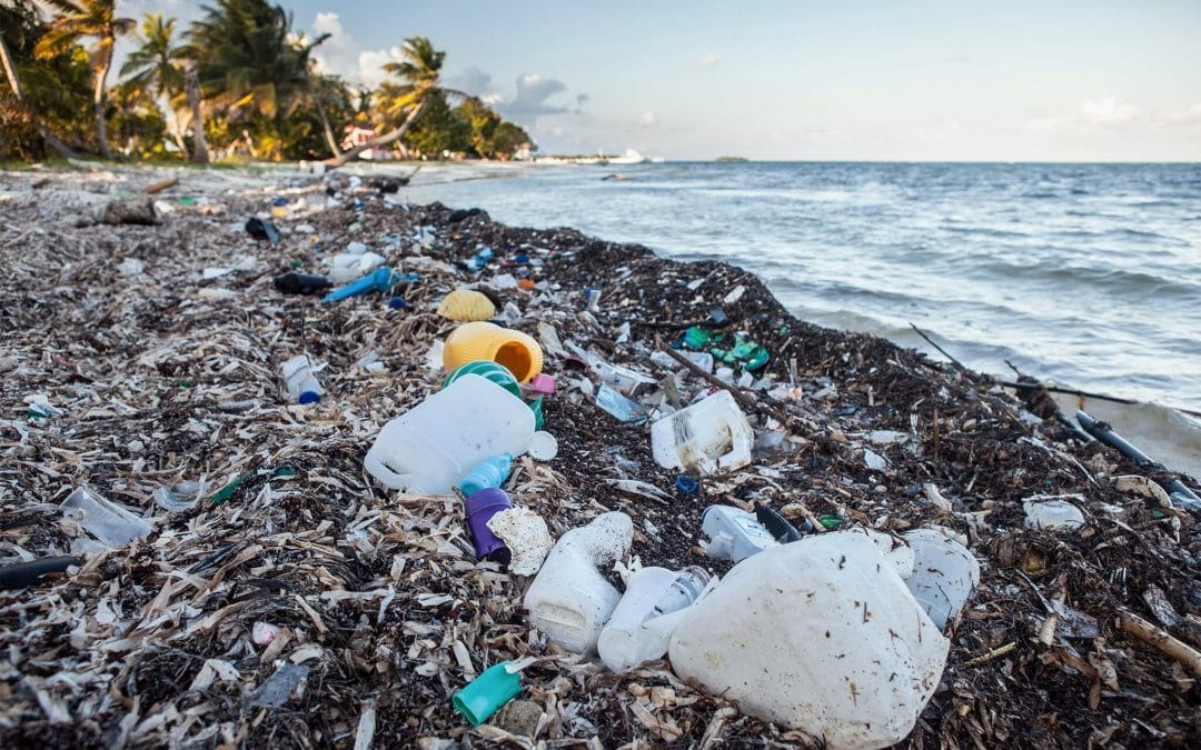 Are We Heading For A Plastic Catastrophe In Our oceans?