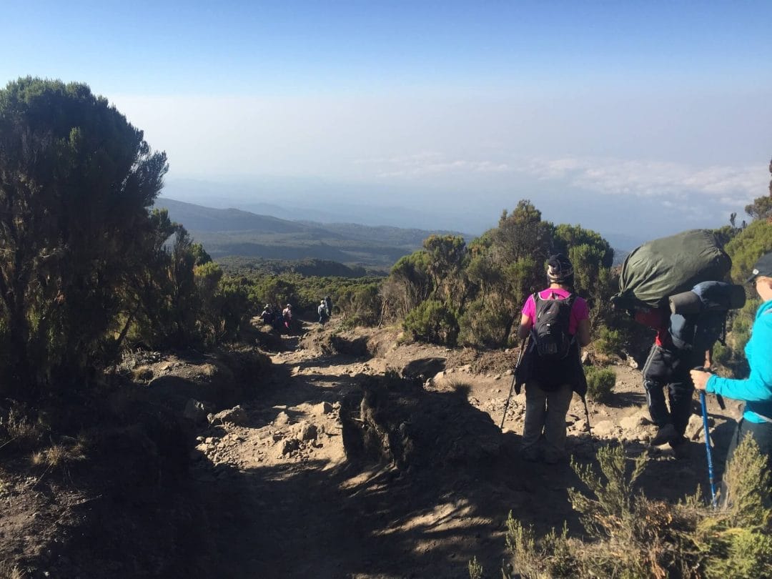 descending kilimanjaro, marangu route
