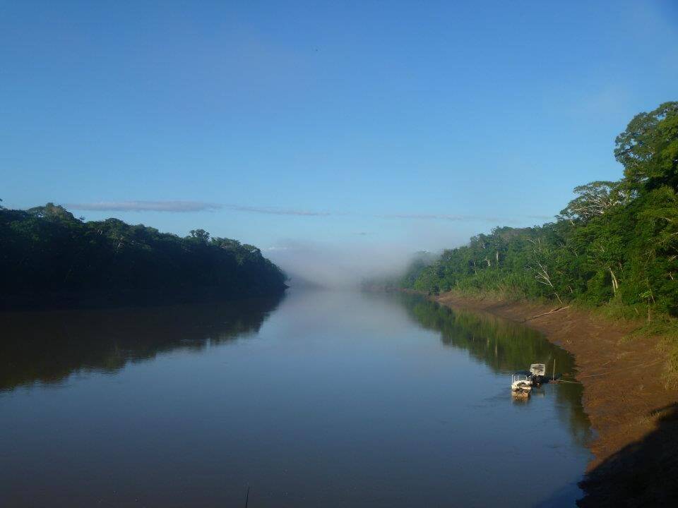tambopata early morning mist
