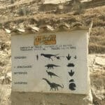 dinosaur footprints guide cal rock Bolivia