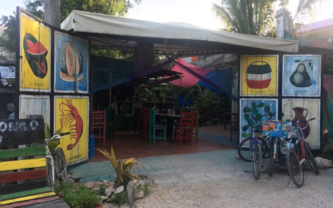 El Hongo – Sustainable Community Development in Playa Del Carmen