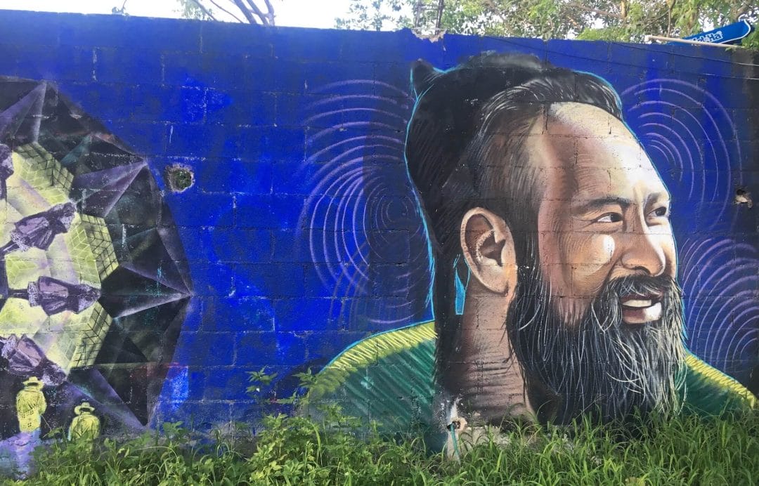 el hongo hoyo mural