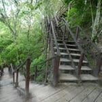 Tikal temple 4 stairs