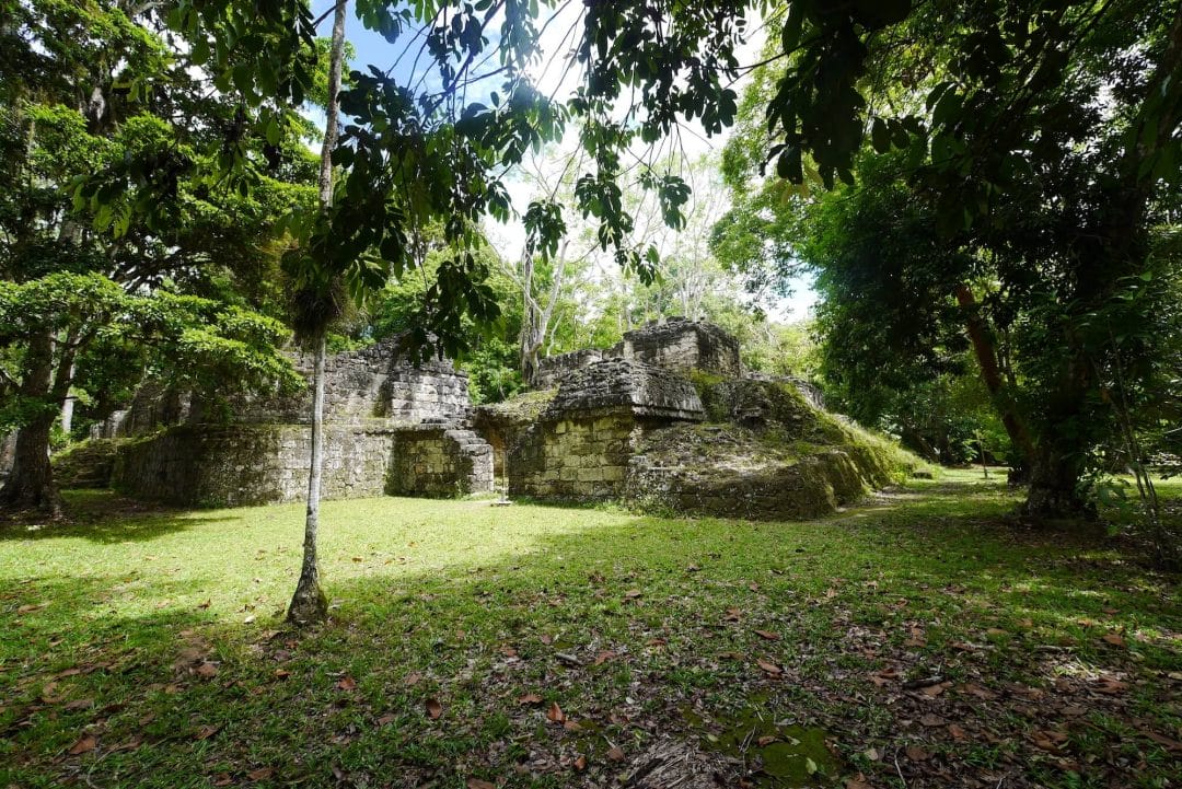 jungle ruins Tikal