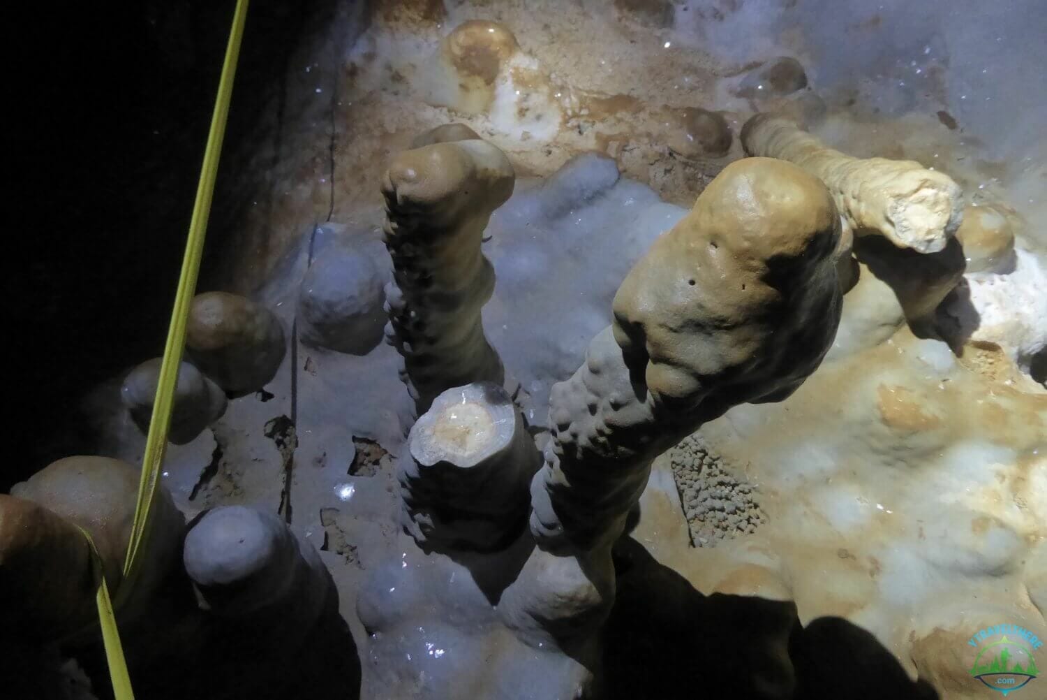 stalagmite cross section