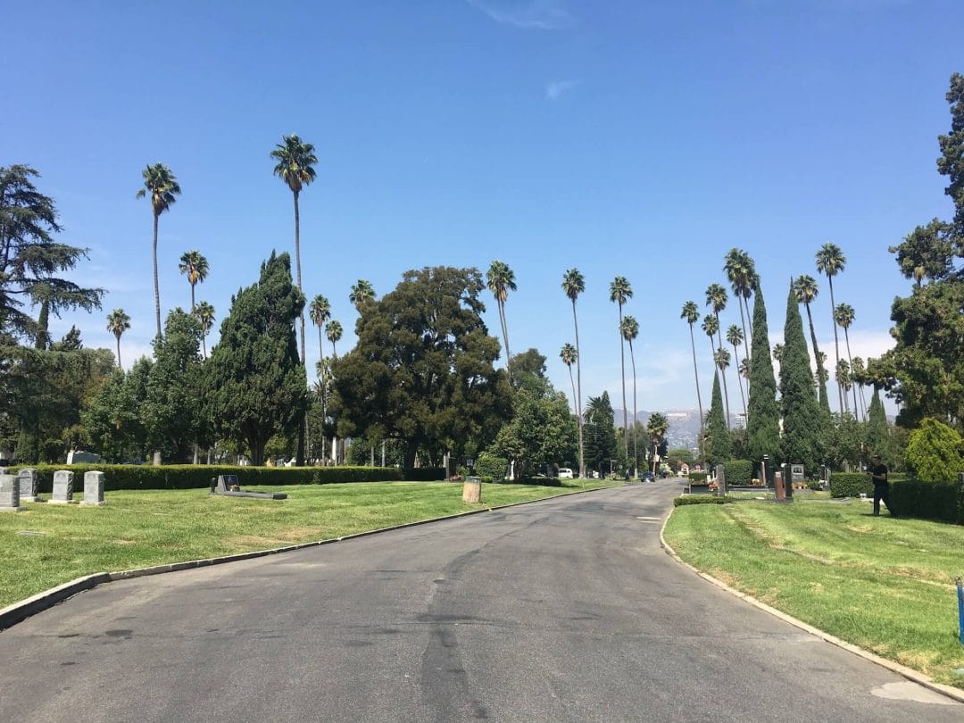 hollywood sign from hollywood forever cemetery