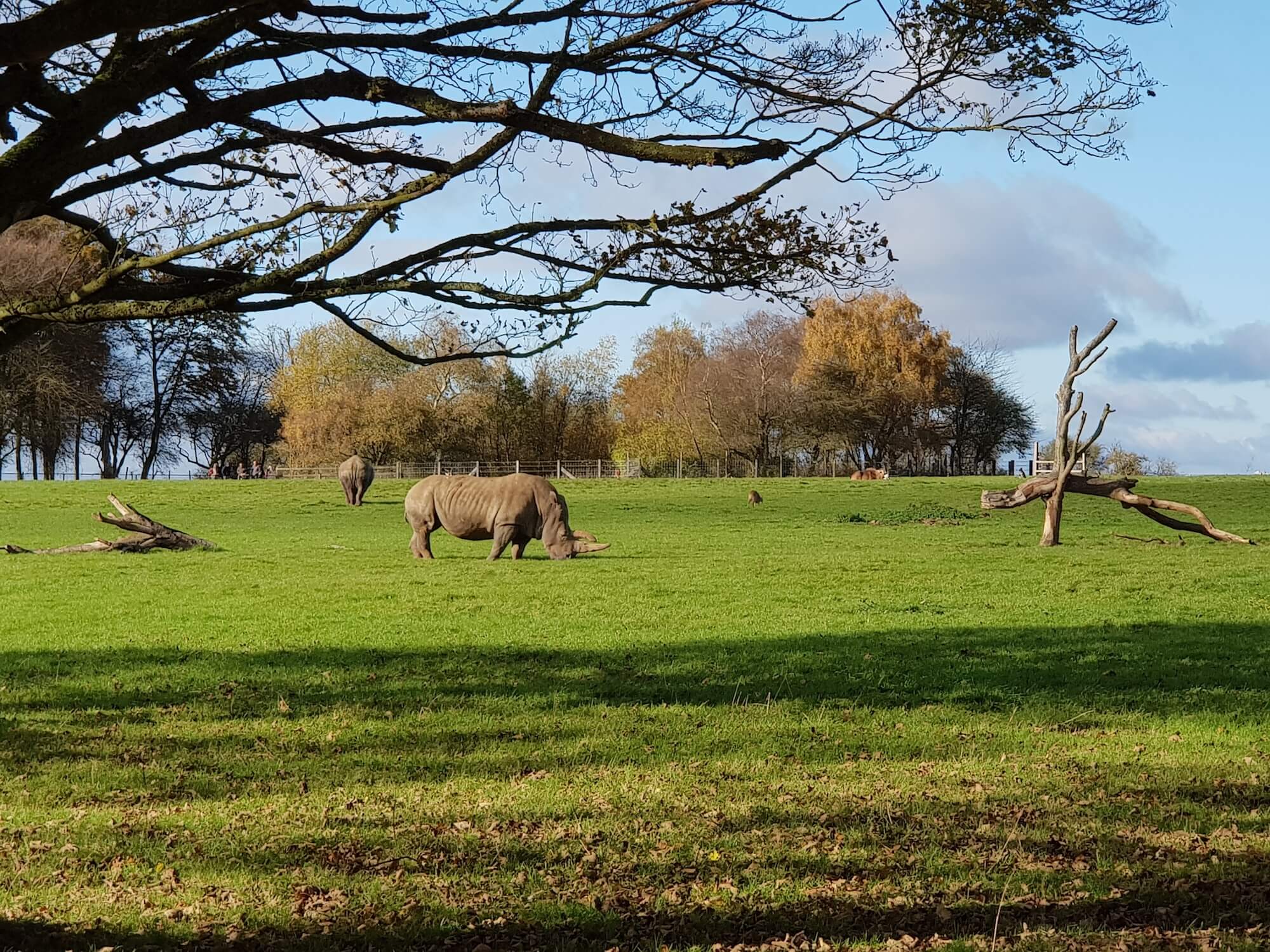 Is It Time We Realised the Good Work Zoos Do?