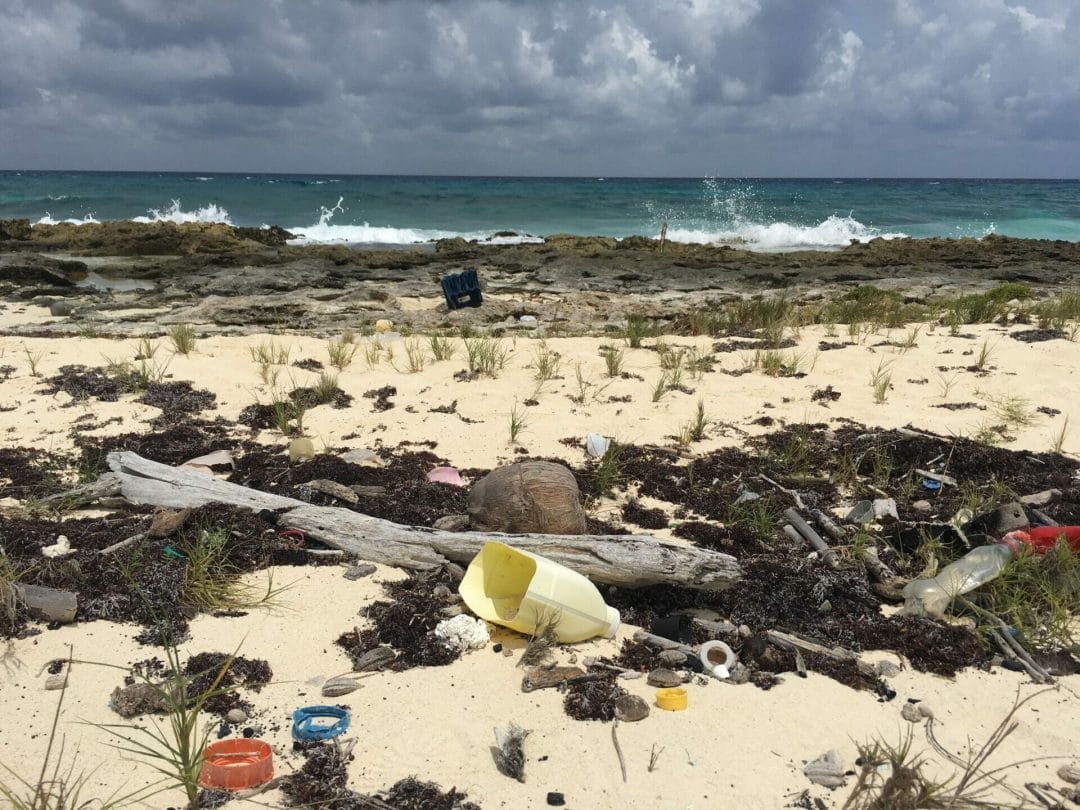 plastic catastrophe oceans